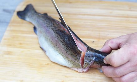 Jak připravit filet ze pstruha